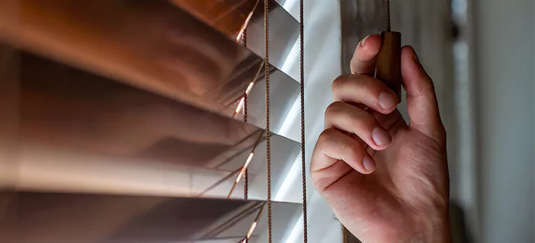 Double Roller Blinds in Rockledge, FL