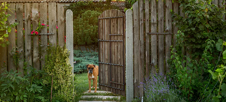 Winter Garden Garage Door Repair in Rockledge,[location field=state]