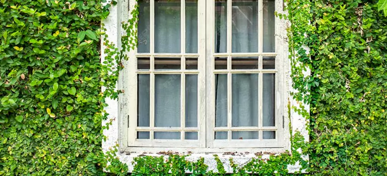 Garden Window Repair Near Me in Rockledge, FL
