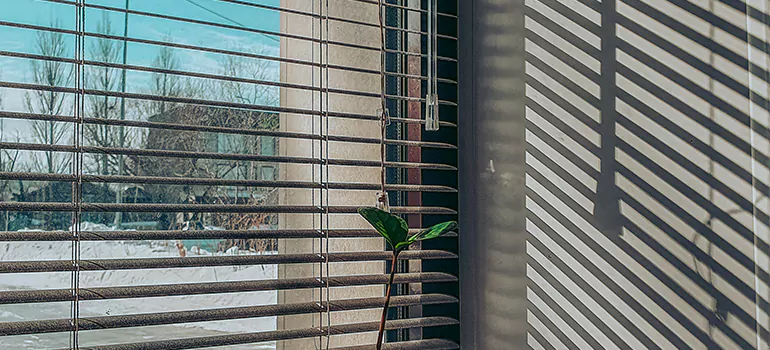 Commercial Window Blinds in Rockledge, FL