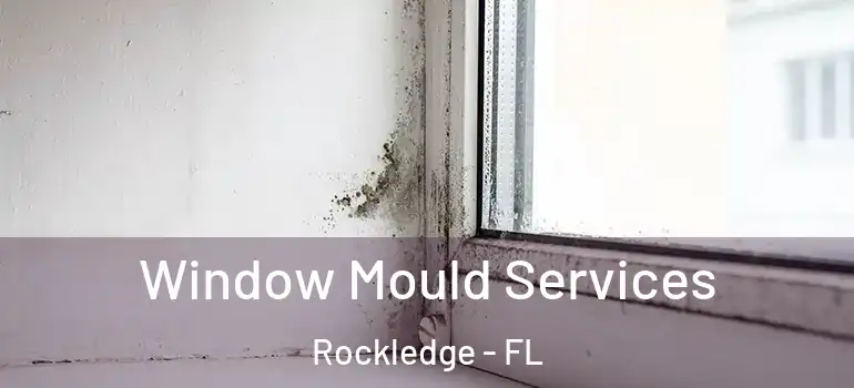 Window Mould Services Rockledge - FL